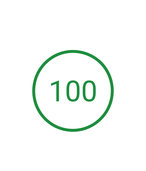 Mobile Accessibility Score